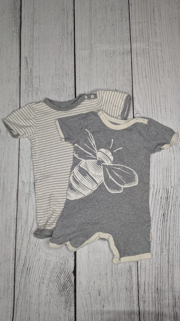 Burts Bees Twin Set (2) Romper - 12mo