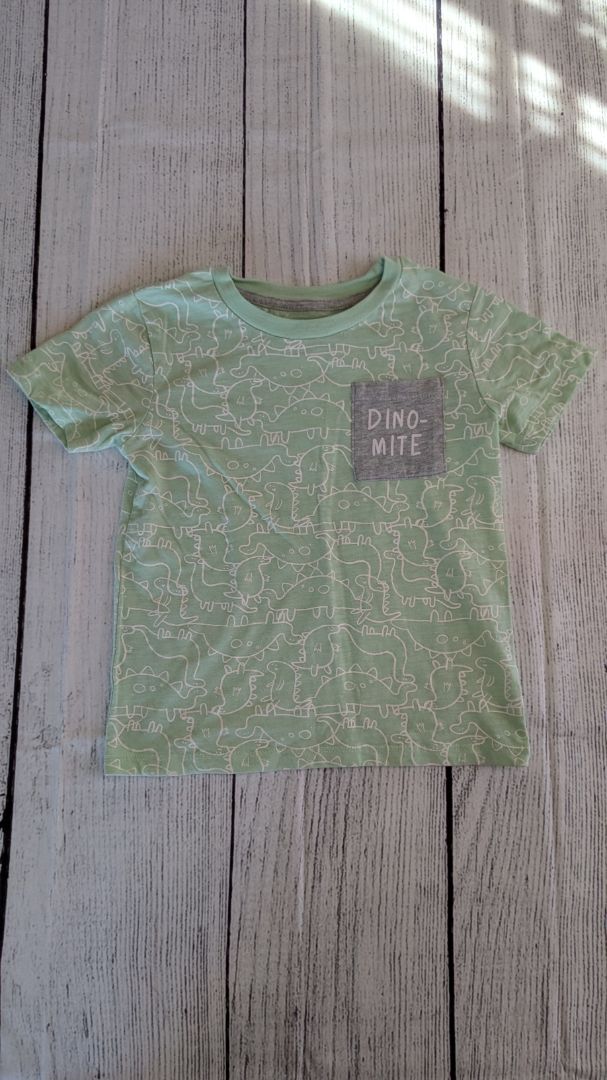 Falls Creek Dino Short Sleeve - 4t