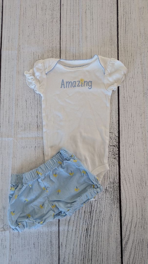 Carters "Amazing" Floral Outfit - 9mo