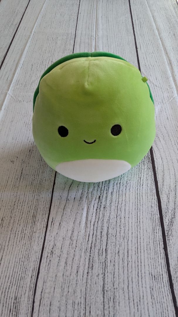 Turtle Squishmallow - Small