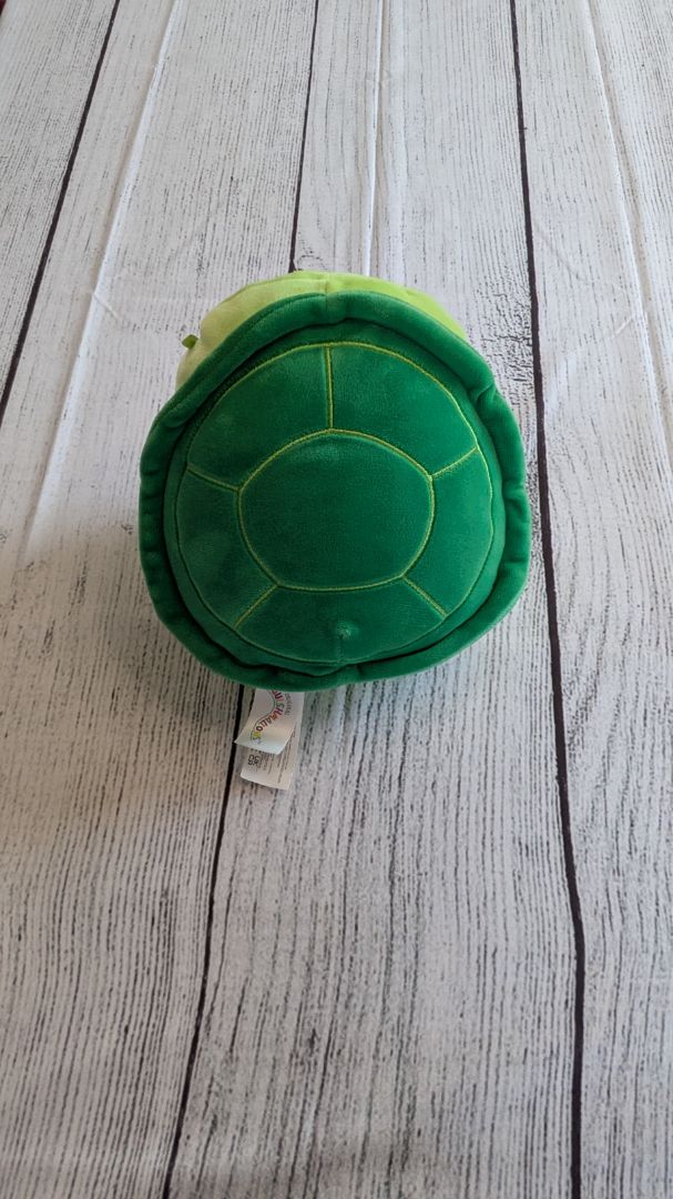 Turtle Squishmallow - Small