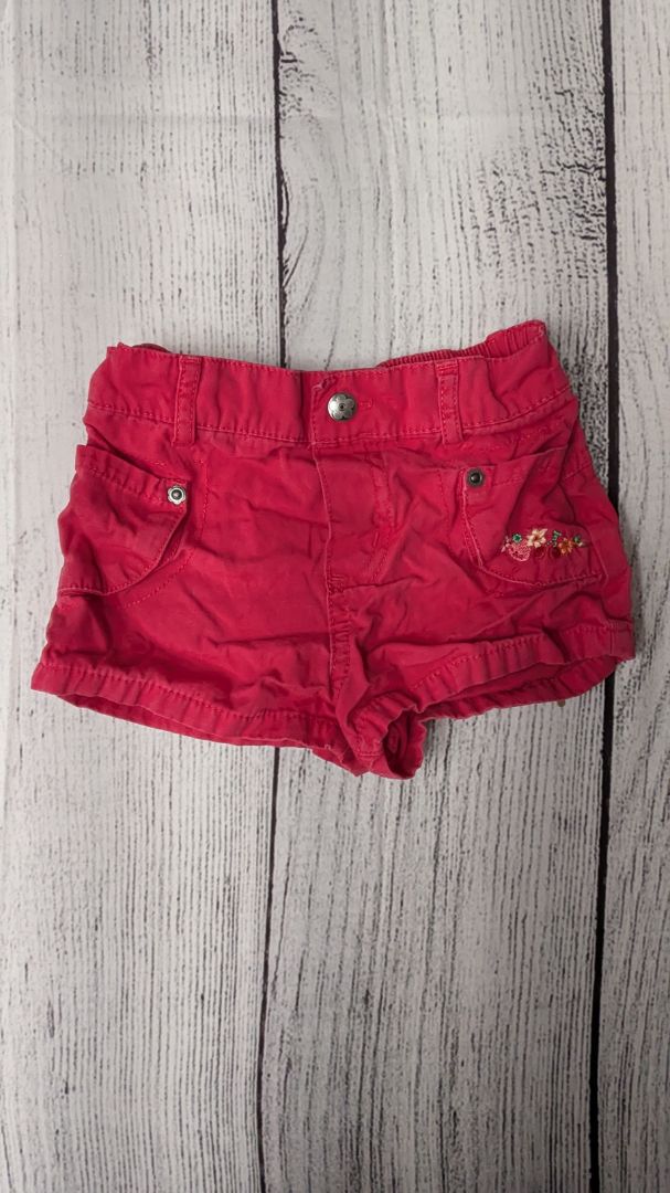 Carters Shorts - 24mo