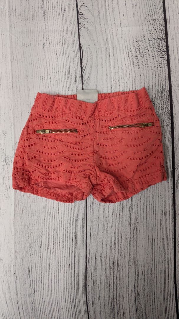 Oshkosh Shorts - 2t