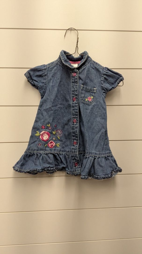 Small Wonders Rose Dress - 9mo