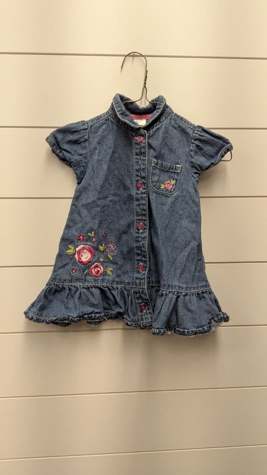 Small Wonders Rose Dress - 9mo